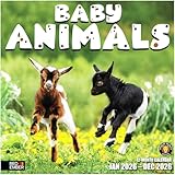 RED EMBER Baby Animals 2026 Wall Calendar 12 Month | 12" x 24" Open | Thick & Sturdy Paper | Holiday Gift | Wild Cute Kids Baby Animals Calendar 2026