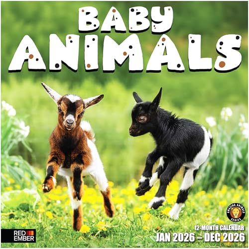 RED EMBER Baby Animals 2026 Wall Calendar 12 Month | 12” x 24” Open | Thick & Sturdy Paper | Holiday Gift | Wild Cute Kids Baby Animals Calendar...