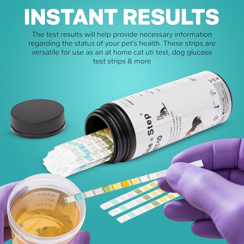 Image of One Step Pet Urine Testing Strips, 100 x 10 Parameter Urinalysis Tests for Dogs, Cats, Vets, Accurate Testing for Veterinarians, Detects UTI, Diabetes, Bladder, Kidney, Liver, SG, pH, Glucose