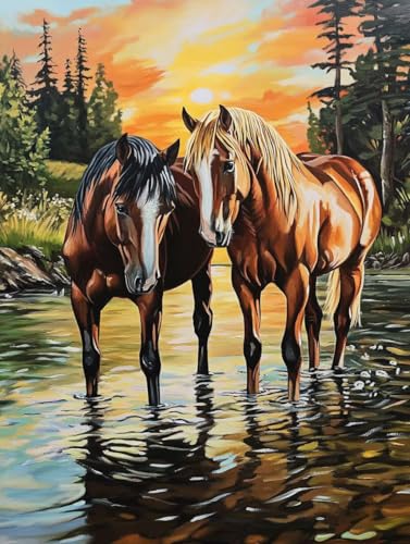 Pintar por Números Adultos Kit DIY Cuadro Acrílico Caballo Río Grande 80x60cm