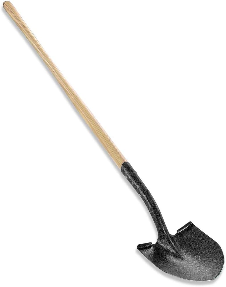 Corona Tools Closed-Back Number 2 Round Point Shovel 14-Gauge with 48 Inch Ash Wood Handle