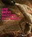 Une br&Atilde;&uml;ve histoire de l'avenir (Catalogue) (Catalogues d'exposition)