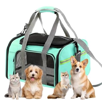 Bolsa Transporte Pet Ventilação em 4 lados Bolsa Transporte Pet Avião Para LATAM Paw Up (Verde)
