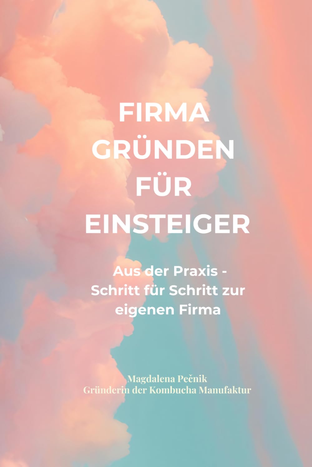 FIRMA GRÜNDEN FÜR EINSTEIGER: Aus der Praxis - Schritt für Schritt zur eigenen Firma
