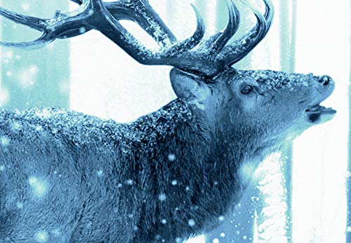 Murando Fotomurali adesivi Cervo Animali 343x256