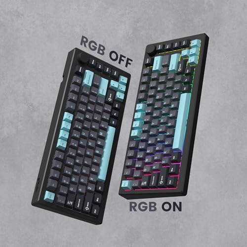 Image of dagaladoo Double Shot PBT keycaps Set, Cherry Profile Keyboard Keycaps | Retro key caps full size,Custom keycaps for 60% 65% 75% 100% Cherry-MX switch Mechanical Keyboard(Grey /Blue)