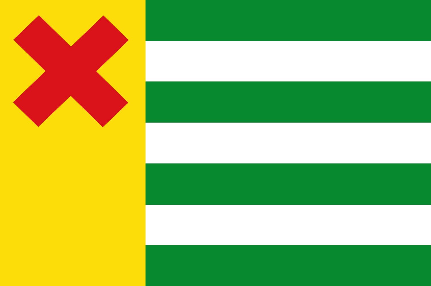 Drapeau Large Hemrik vlag pour décorer les fêtes de village et façades