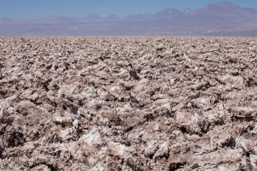 242 &ndash; Living Minerals (feat. Javiera Barandiar&aacute;n)