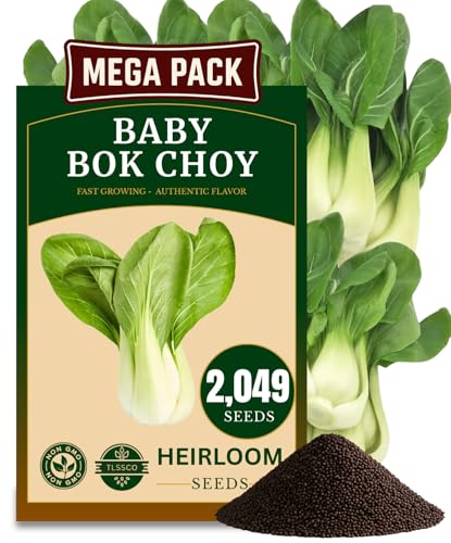 2000+ USA Premium Baby Bok Choy Seeds for Planting, Non-GMO Seeds – Easy to Grow, Low Maintainance, Authentic Flavor – High-Yielding, Heirloom