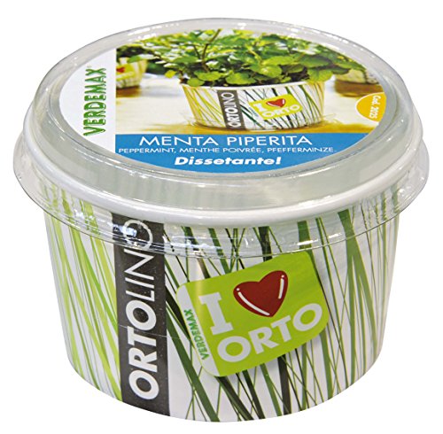 Verdemax 2025 Ortolino - Kit de hierbabuena, Color Blanco y Verde