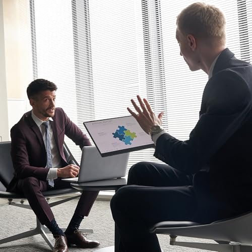 Ricoh Moniteur Portable 150BW, écran Portable OLED 15,6 Pouces sans Fil, Double écran Wireless, Ultra-léger, rafraîchissement 60 Hz, Haut-parleurs intégrés x2