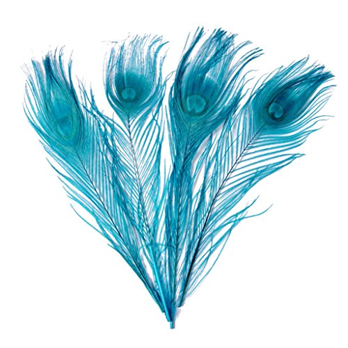 Feathers,Plume,Hgshow 20 Pcs Bleached & Dyeing Peacock Feather 10-12 inches