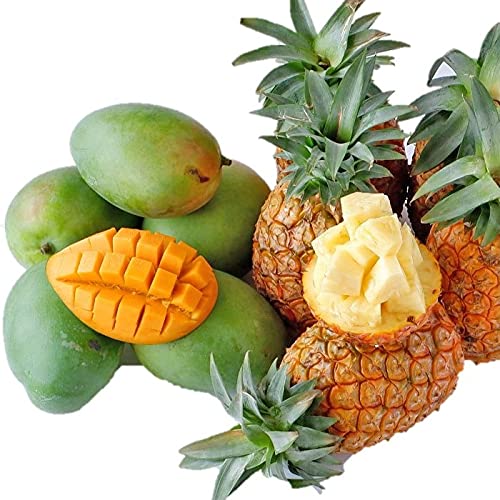 沖縄琉堂 沖縄県産【訳あり】キーツマンゴー(幻のマンゴー)＆沖縄県産【訳あり】パイナップル食べ比べセット 新鮮直送