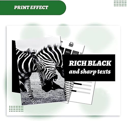 Image of QUINK 158A Toner Cartridge for HP 158 Toner Reload Kit for HP LaserJet Tank 1005w, 1020w, MFP 2606sdw, 1020, 1005, 2605sdw, 1604w, 1602, 2602, 2603, 2604, 2606 Series-2pcs (158A 2PC)
