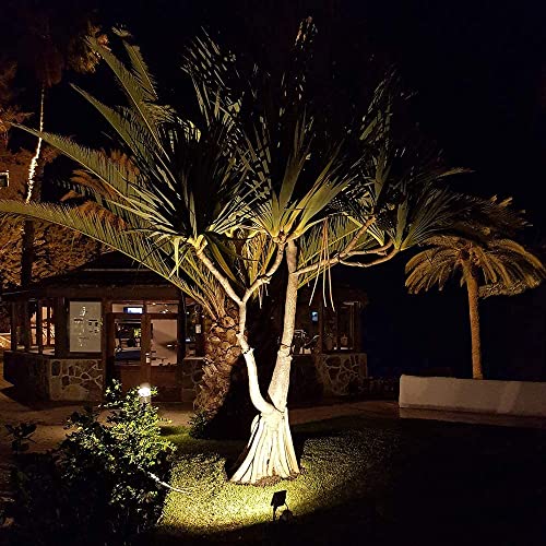 Lumare-LED-Spotlight-10W-Extra-Flat-Floodlight-IP65-Outdoor-and-Indoor-incl-IP65-Power-Connector-Outdoor-Light-3000K-Warm-White-Floodlight-Waterproof-Garden-Lamp