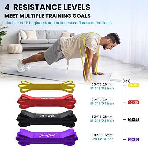 Bob And Brad Resistance Bands Set-10Pcs, Exercise Bands With Handles For Working Out, Fitness Pull Up Bands Set With Wall/Door Anchor For Physical Therapy, Resistance Training #TOP1