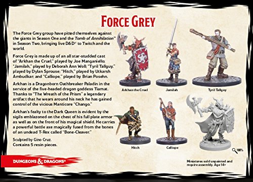 Gale Force Nine Dungeons & Dragons Collector's Series Figures Force Grey, Multicolor #TOP1