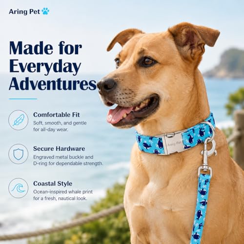 Image of ARING PET Summer Dog Collar for Small Medium Large Boy Dogs-Blue Whale S | Cute Male Heavy Duty Pet Collars with Metal Buckle for XS S M L XL Dogs, for Beach Trips Lake Camping Seaside Walk Photoshoot