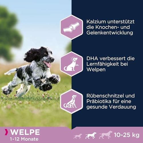Eukanuba Welpenfutter mit frischem Huhn für mittelgroße Rassen, Premium Trockenfutter für Junior Hunde, 15 kg