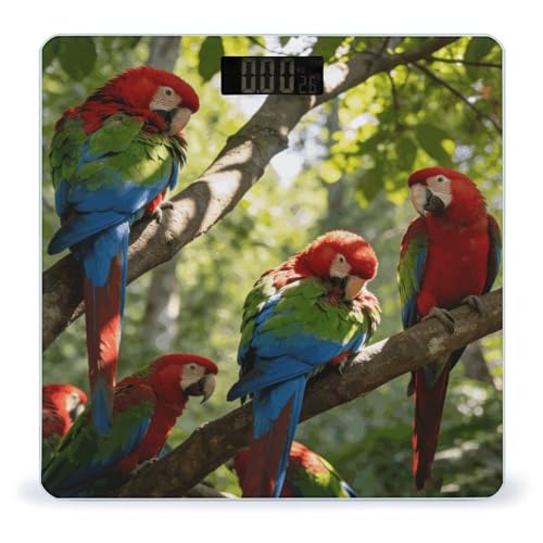 Báscula digital para baño Birdsong in The Forest 400 lb miniatura 1