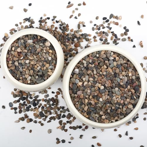 Image of 20LB Natural River Rocks, 1 /4 inch Aquarium Gravel, Small Pebbles for Plants, Pea Gravel for Fish Tanks, Decorative Rocks for Gardening, Flower Pots, Vase Fillers, Indoor Fountains (20 LBS)