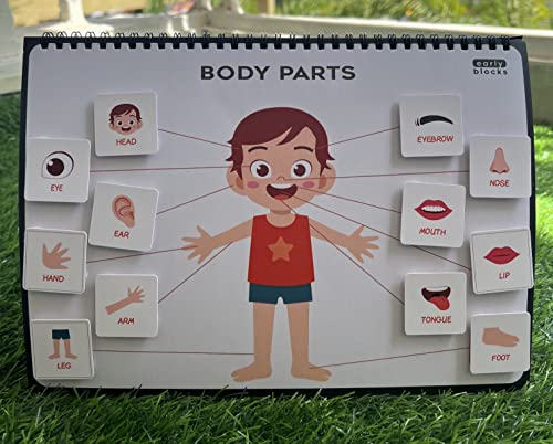 Sparkling Kit Level 1 | Learning Kit for Kids of Ages 1-3 Years