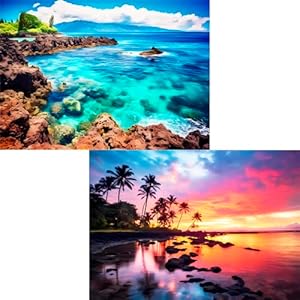 2 Pack 1000 Piece Puzzle for Adults Puzzles for Adults 1000 Pieces and up 2000 Piece Puzzles for Adults Beach CoconutTree Reef Landscape Jigsaw Puzzles