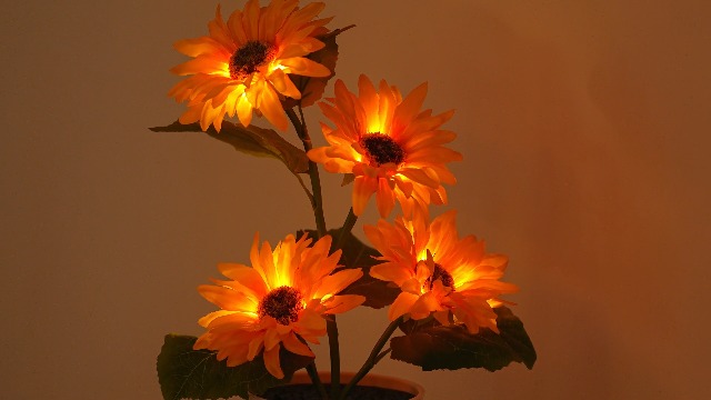 Image of Sunflower Lamp Gifts for Women Mom Grandma Girlfriend Friend Wife Her Christmas Valentines Mothers Day Anniversary Birthday Gifts, Bedroom Bar Coffee Shop Sunflower Light Lamp Decor