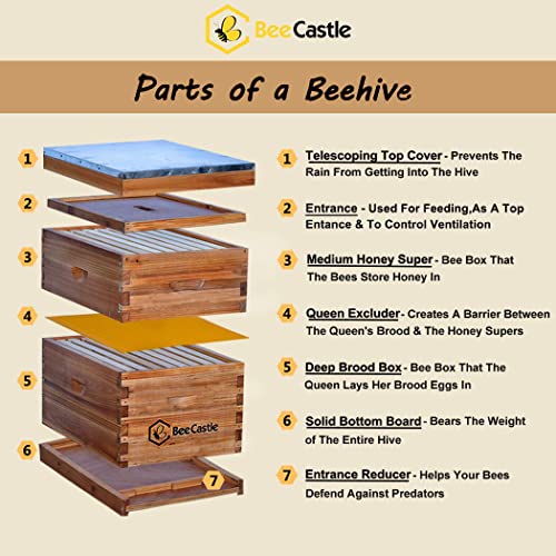 Beecastle 8 Frame Langstroth Bee Hive Coated With 100% Beeswax Includes Beehive Frames And Waxed Foundations thumb #1