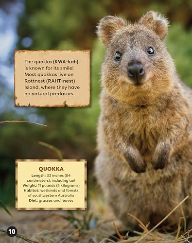 Awesome Animals of Australia: The Continent and Its Creatures Great and Small (Curious Fox Books) For Kids Ages 5-10, Photos and Fun Facts - Kangaroo, Koala, Tasmanian Devil, Crocodiles, and More - Image 5