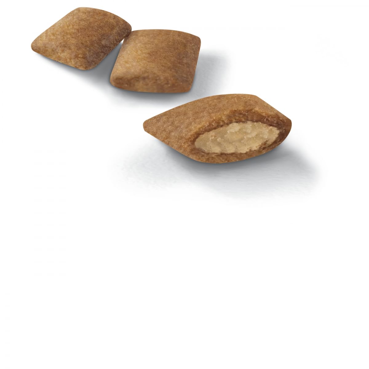 Royal CANIN Exigente Mousse | 12 x 85 g | Nourriture Humide pour Chiens Adultes à partir de 10 Mois | pour Chiens Difficiles | avec protéines de qualité supérieure