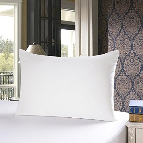 townssilk Both Side 100% 19mm Silk Pillowcase 40x80cm Pillow Case Cushion Cover with Hidden Zipper Naturalwhite Cover