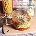 Mini Sized Glass Bowl with Lid and Handle, 44 FL OZ/1.4L for Noodles, Pasta, Soup, Cereals, Fruits, BPA Free, Microwave Dishwasher Oven