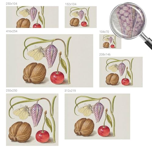 Papier peint lavable motif plante et papillon avec colle incluse