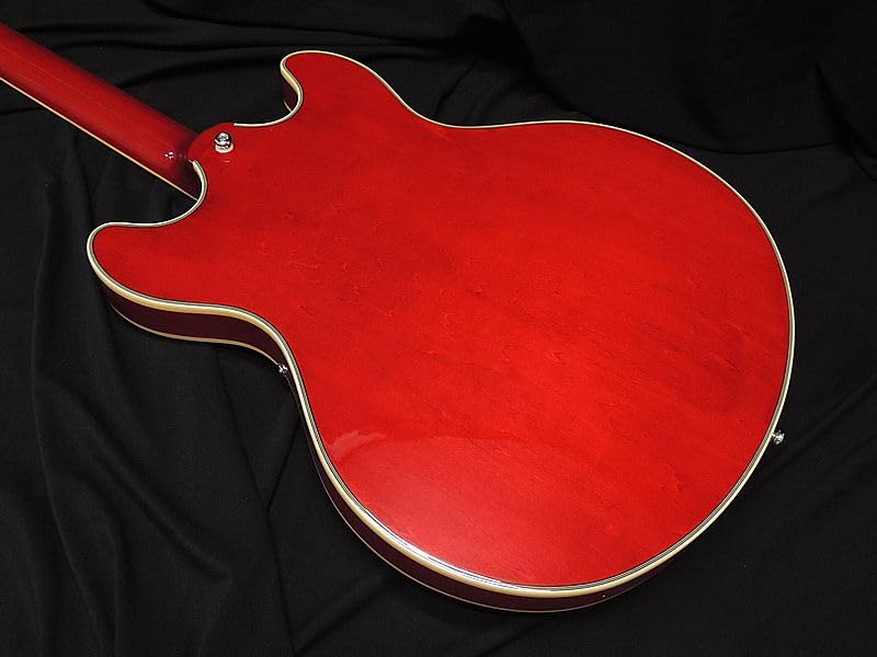 SIRE H7 セミアコ Amazon | Sire Larry Carlton H7 WH セミアコ サイアー | エレキ