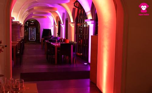 Miniatura 7 de Ape Labs Maxi | Juego de 2 luces verticales inteligentes profesionales de fabricación alemana, 45 vatios RGBW LED Par, funciona con pilas con DMX