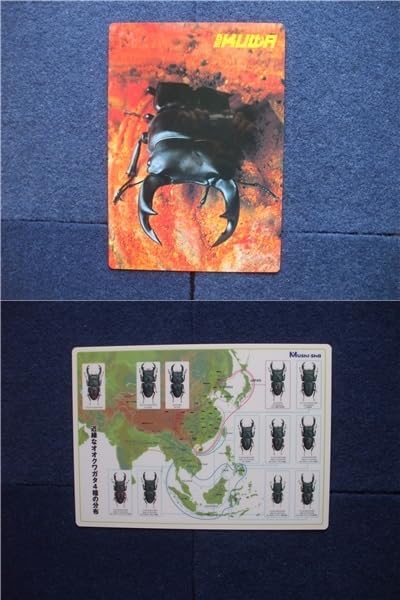 ネオジオ ゲーメスト 餓狼伝説2 下敷き 12枚セット 12種類 下敷 Amazon