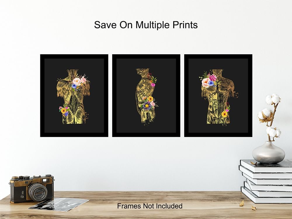 Human anatomy Poster LARGE 11x14 - Gifts for Nurse, RN, Physician Assistant - Nurse Gifts for Women - Perfect for Hospital, Office Decor, RN Wall Decor - Unique Decorations - Unframed