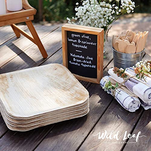100% Compostable, Biodegradable, Disposable Palm Leaf Plates, 10 Inch / 50 Pack - Disposable Bamboo Plates Party Pack - Sturdy, Microwave & Oven Safe - Square Party, Wedding, Event Plates #TOP4