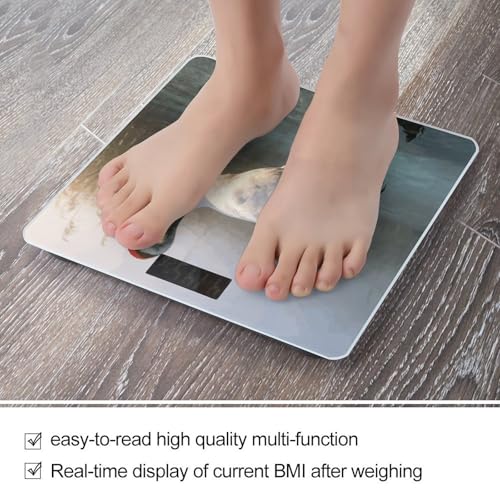 Báscula Digital Majestic Crane para Hogar hasta 180 kg miniatura 5