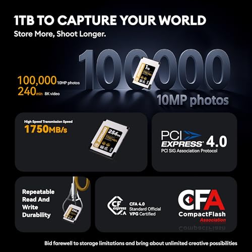 Image of 256GB CFexpress 4.0 Type A Card Up to 1750MB /s Read Speed & 1750MB /s Write Speed Type A Memory Card for RAW 4K /8K Video Recording Compatible with Sony Alpha Sony FX Cameras Gold