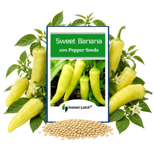 100 Sweet Banana Pepper Seeds for Planting Non GMO Heirloom Seeds Fresh Garden Seed