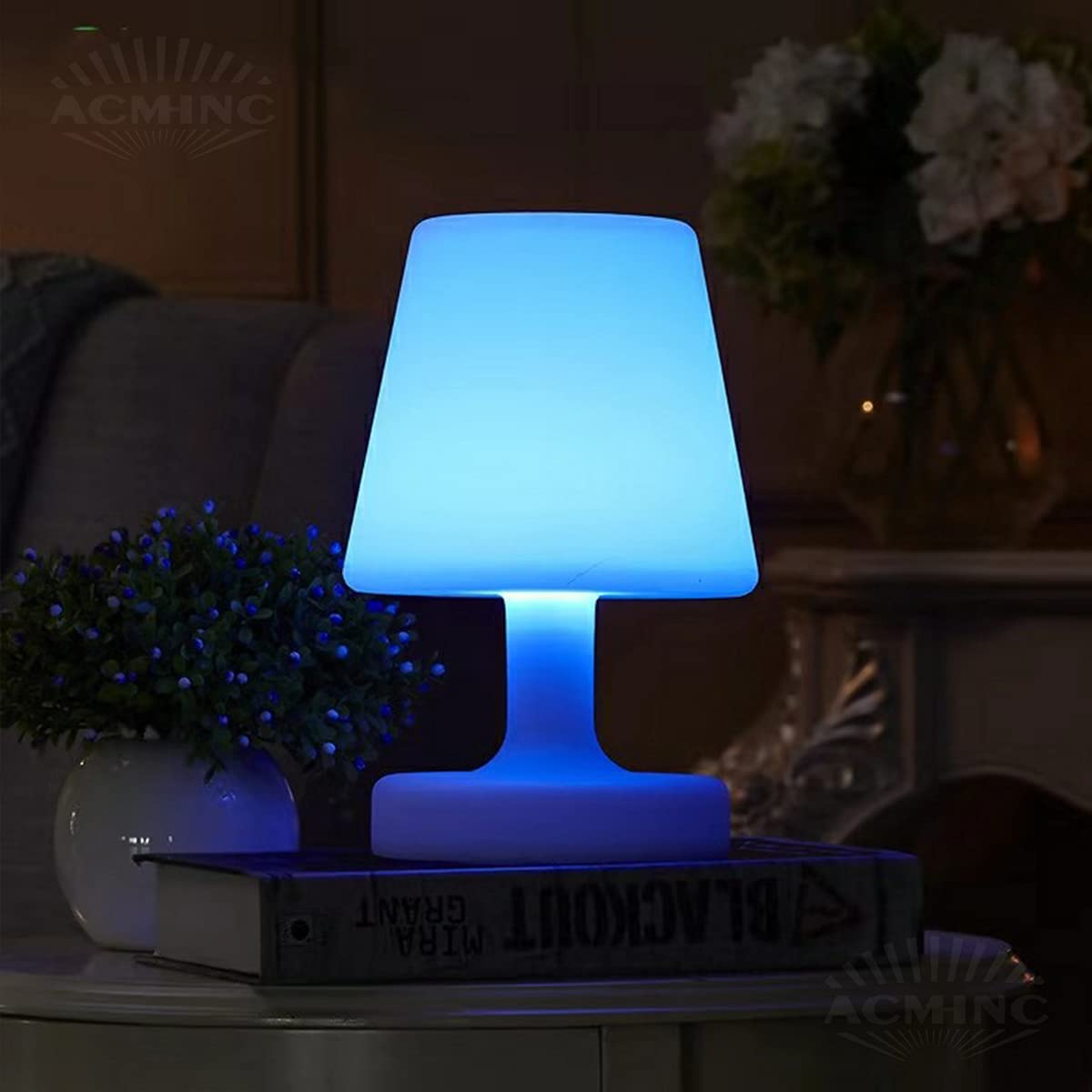 Lampada da tavolo LED ricaricabile con luce bianca calda e dimmerazione continua