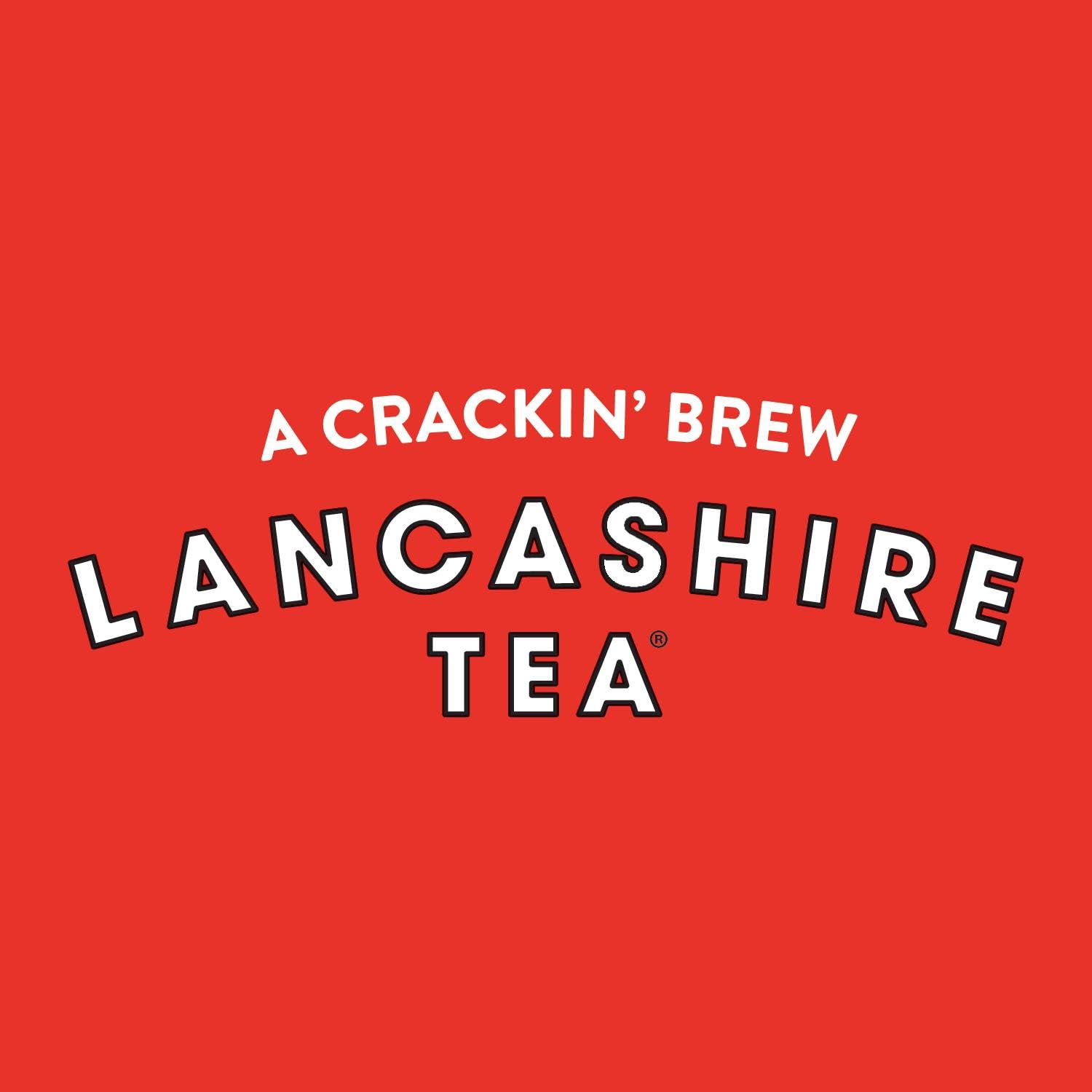 Lancashire Tea Bags Bulk 1100 para catering, compartir, pausas de té de oficina | Mezcla nueva y mejorada | Delicioso té negro | 100% certificado Rainforest Alliance | Bolsas de té biodegradables 1100