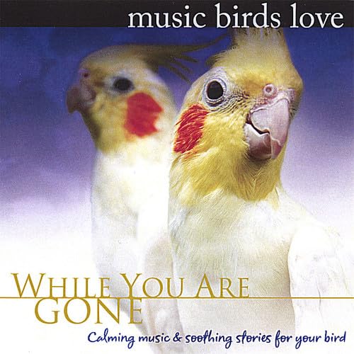 Music Birds Love: While You Are Gone (Soothing Music for Birds, Parrots,...