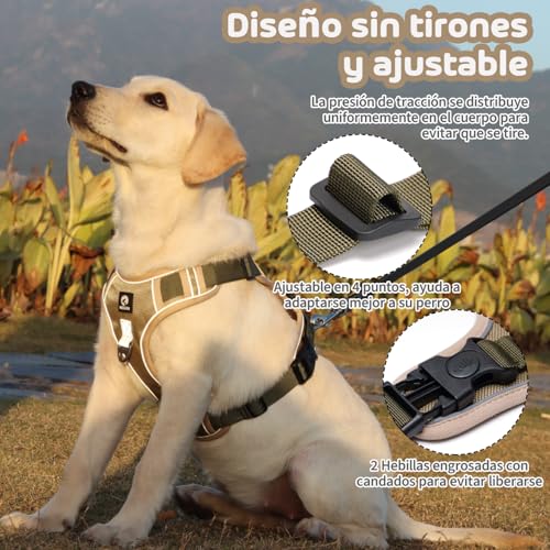Pecheras para perros 6 Imagen adicional