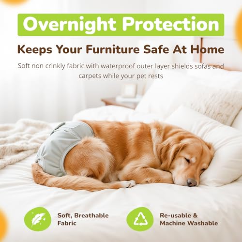 Couches chien lavables contre fuites et incontinence M - 6