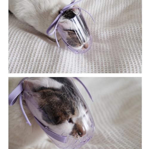 QANYEGN 3 peças de capa anti-mordida para boca de gato, focinho de gato, focinho transparente para c