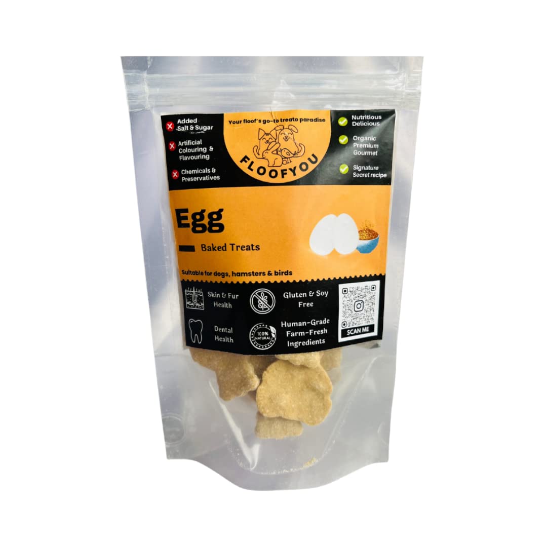 FloofYou Egg Cookies Natural Healthy Treat for Hamsters and Birds (B0C4BXHX36) Amazon Price History, Amazon Price Tracker