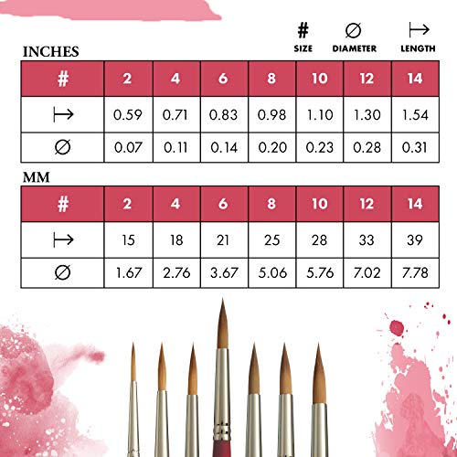 Princeton P3950LR8 Velvetouch Syn Sh Lange Ronde Maat 8 - Image 4